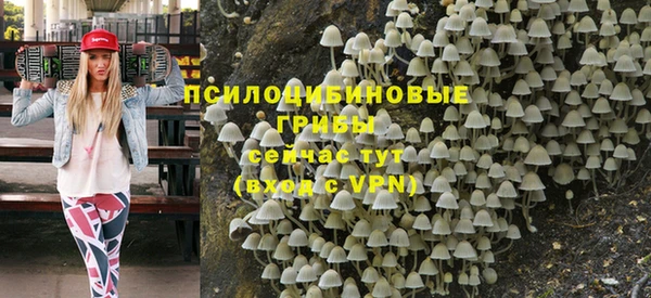 сатива Алзамай