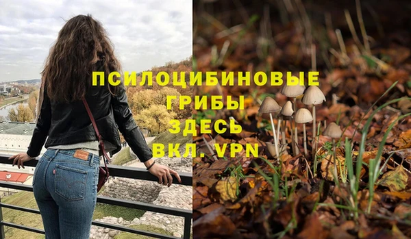 дмт Гусиноозёрск
