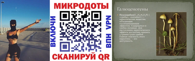 Псилоцибиновые грибы мицелий  купить закладку  Чадан 