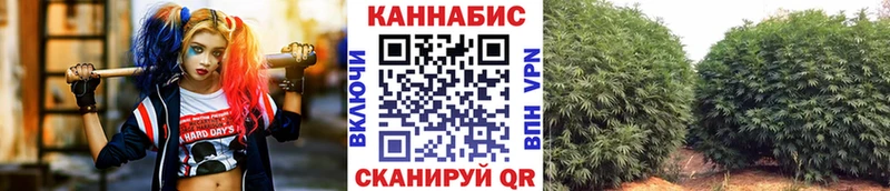 купить закладку  Чадан  Конопля AK-47 